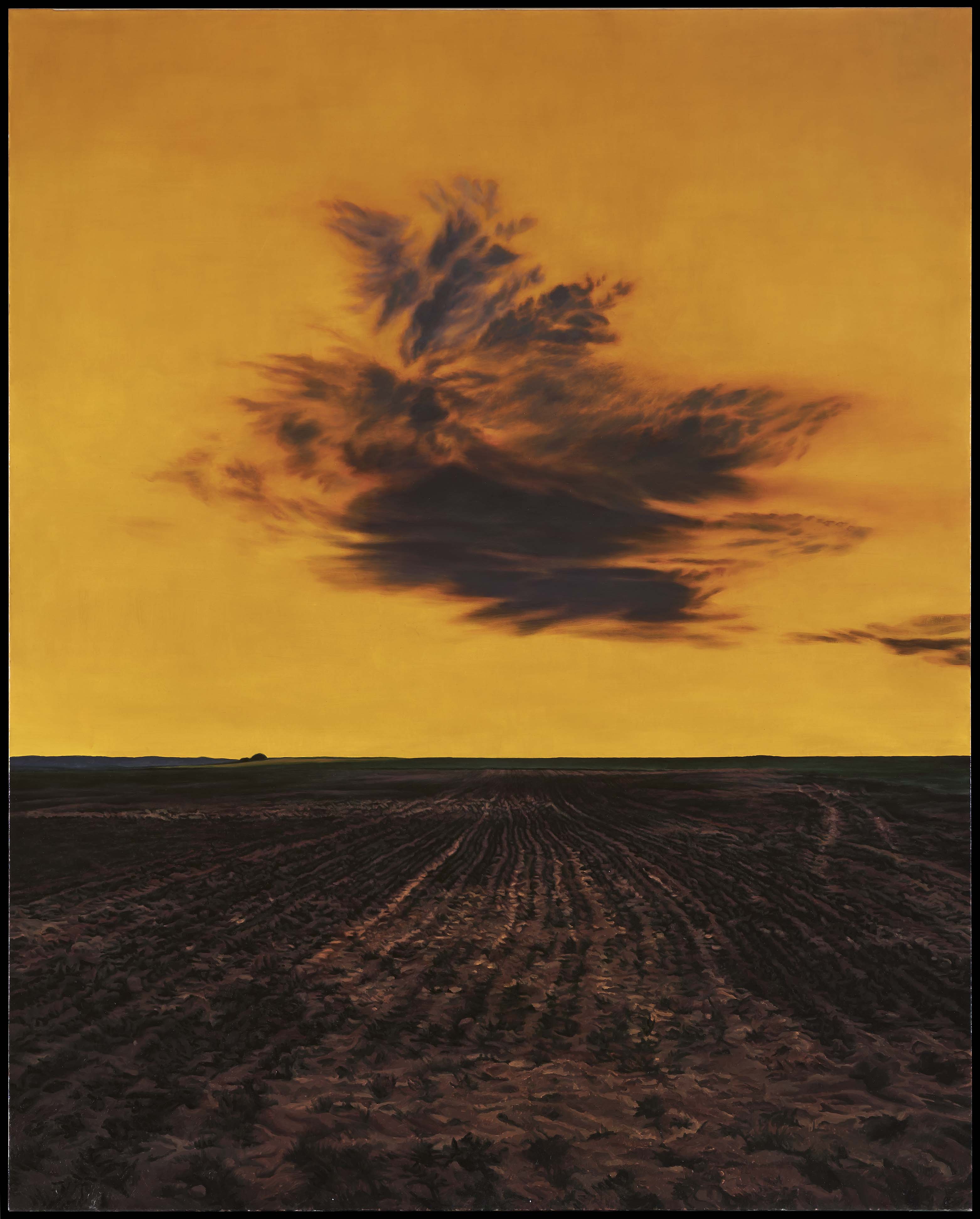 Campo roturado y nube (aureoline). 2014, 162x130 cm.